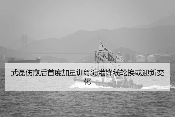 武磊伤愈后首度加量训练海港锋线轮换或迎新变化